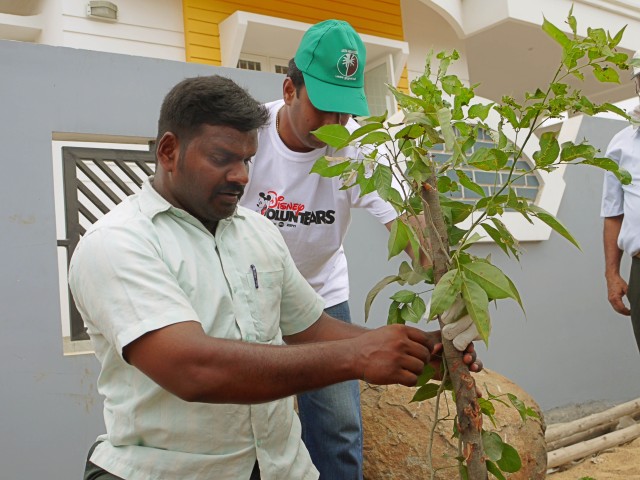 EGP's N. Ravi and Disney VoluntEAR Vijay Anand support a sapling